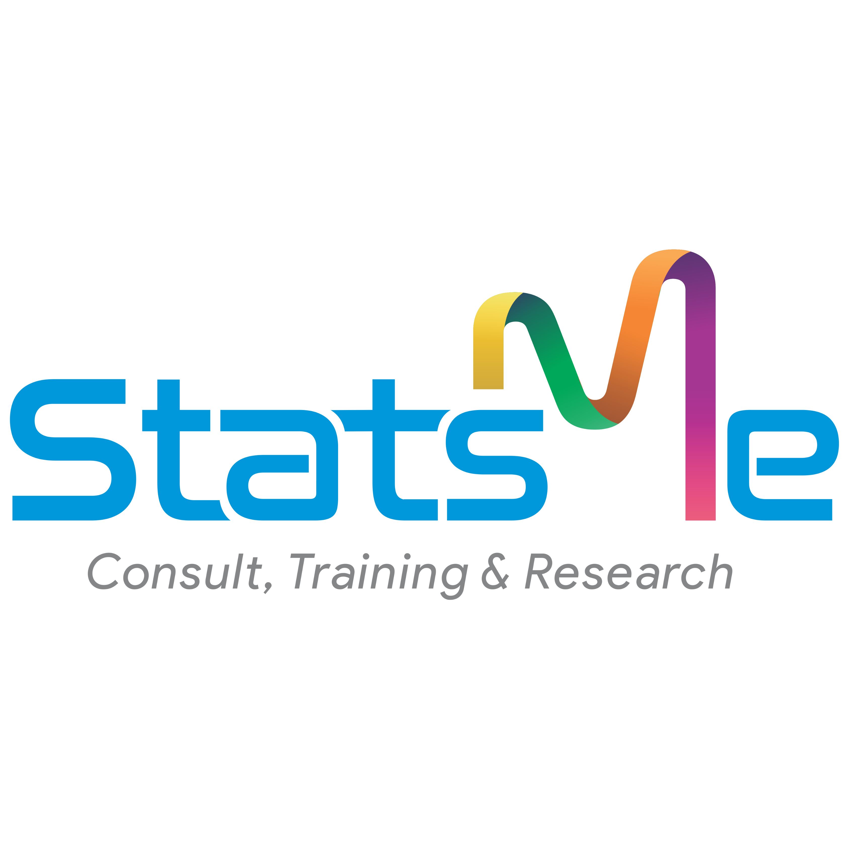 logo PT Cemerlang Statistika Indonesia